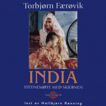 India av Torbjørn Færøvik (Nedlastbar lydbok)