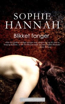 Blikket fanger av Sophie Hannah (Innbundet)