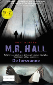 De forsvunne av Matthew Hall (Ebok)