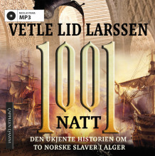 1001 natt av Vetle Lid Larssen (Nedlastbar lydbok)