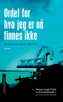 Ordet for hva jeg er nå finnes ikke av Rannveig Fern Leite Molven (Heftet)