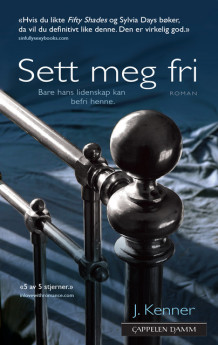 Sett meg fri av Julie Kenner (Heftet)