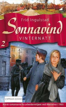 Vinternatt av Frid Ingulstad (Ebok)