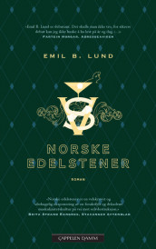 Norske edelstener av Emil Bussoli Lund (Ebok)
