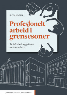 Profesjonelt arbeid i grensesoner av Ruth Jensen (Heftet)