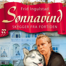 Skygger fra fortiden av Frid Ingulstad (Nedlastbar lydbok)