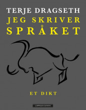 Jeg skriver språket av Terje Dragseth (Innbundet)