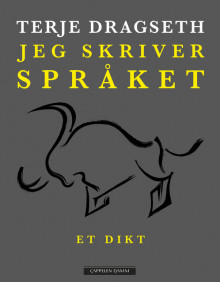 Jeg skriver språket av Terje Dragseth (Ebok)