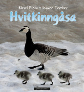 Hvitkinngåsa av Kirsti Blom og Ingunn Tombre (Innbundet)