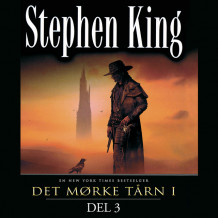 Det mørke tårn 1 - Del 3: Oraklet og fjellene av Stephen King (Nedlastbar lydbok)