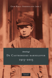 De Castbergske barnelover 1915-2015 av Geir Kjell Andersland, Lena R.L. Bendiksen, Odd Einar Dørum, Trude Haugli, Jens Olai Jenssen, Anne Lindboe, Kirsten Sandberg, Elisabeth Gording Stang, Jørn Øyrehagen Sunde, Aslak Syse, Thea W. Totland og Trond Åm (Ebok)