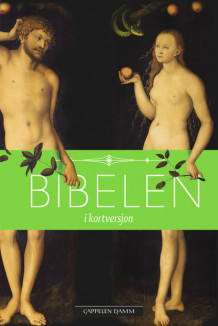 Bibelen i kortversjon (Ebok)