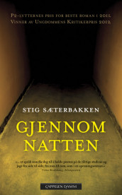 Gjennom natten av Stig Sæterbakken (Heftet)