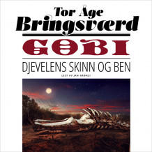 Gobi: Djevelens skinn og ben av Tor Åge Bringsværd (Nedlastbar lydbok)