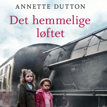 Det hemmelige løftet av Annette Dutton (Nedlastbar lydbok)