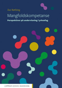 Mangfoldskompetanse av Åse Røthing (Heftet)