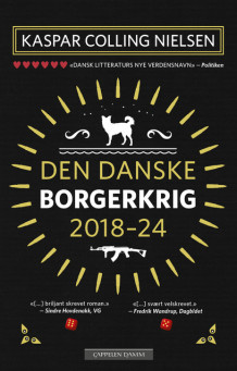 Den danske borgerkrig 2018-24 av Kaspar Colling Nielsen (Innbundet)