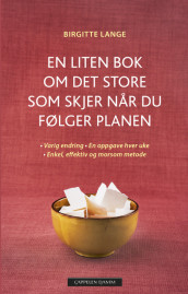 En liten bok om det store som skjer når du følger planen av Birgitte Lange (Ebok)