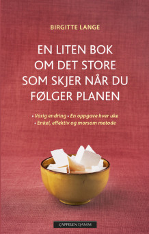 En liten bok om det store som skjer når du følger planen av Birgitte Lange (Ebok)