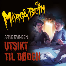 Utsikt til døden av Arne Svingen (Nedlastbar lydbok)