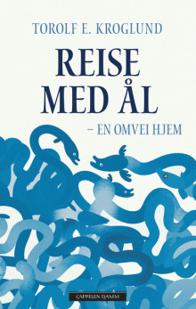 Reise med ål av Torolf E. Kroglund (Ebok)