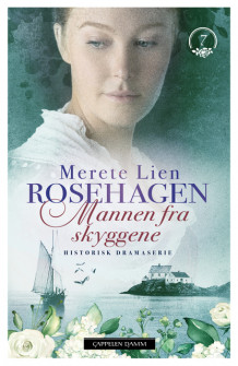 Mannen fra skyggene av Merete Lien (Ebok)