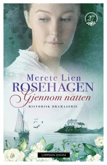 Gjennom natten av Merete Lien (Ebok)