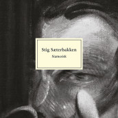 Siamesisk av Stig Sæterbakken (Nedlastbar lydbok)