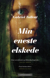 Min eneste elskede av Gabriel Tallent (Innbundet)