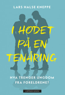 I hodet på en tenåring av Lars Halse Kneppe (Innbundet)