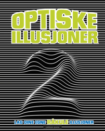 Optiske illusjoner 2 (Innbundet)