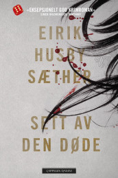 Sett av den døde av Eirik Husby Sæther (Ebok)