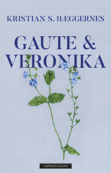 Gaute & Veronika av Kristian S. Hæggernes (Innbundet)