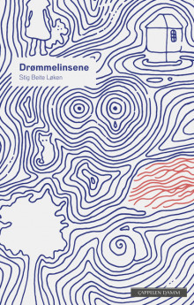 Drømmelinsene av Stig Beite Løken (Ebok)