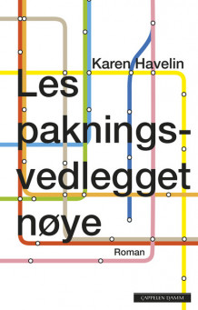 Les pakningsvedlegget nøye av Karen Havelin (Ebok)