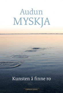 Kunsten å finne ro av Audun Myskja (Innbundet)