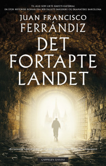 Det fortapte landet av Juan Francisco Ferrándiz (Innbundet)