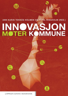 Innovasjon møter kommune av Ann Karin Tennås Holmen og Toril Ringholm (Heftet)