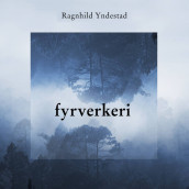 Fyrverkeri av Ragnhild Yndestad (Nedlastbar lydbok)
