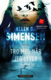 Tro meg når jeg lyver av Ellen Gustavsen (Ebok)