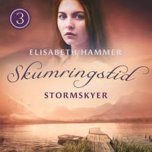 Stormskyer av Elisabeth Hammer (Nedlastbar lydbok)