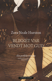 Blikket var vendt mot Gud av Zora Neale Hurston (Innbundet)