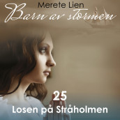 Losen på Stråholmen av Merete Lien (Nedlastbar lydbok)