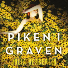 Piken i graven av Julia Heaberlin (Nedlastbar lydbok)