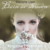 Ringene i brønnen av Merete Lien (Nedlastbar lydbok)