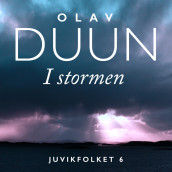 I stormen av Olav Duun (Nedlastbar lydbok)