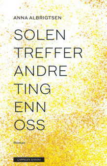 Solen treffer andre ting enn oss av Anna Albrigtsen (Innbundet)