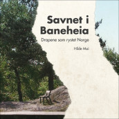 Savnet i Baneheia av Hilde Moi Østbø (Nedlastbar lydbok)