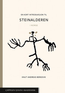 En kort introduksjon til steinalderen av Knut Andreas Bergsvik (Heftet)