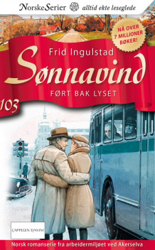 Ført bak lyset av Frid Ingulstad (Ebok)